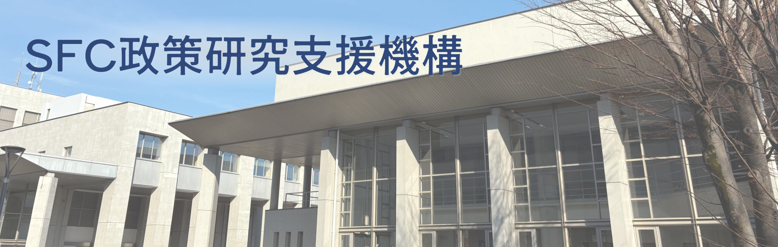 SFC政策研究支援機構