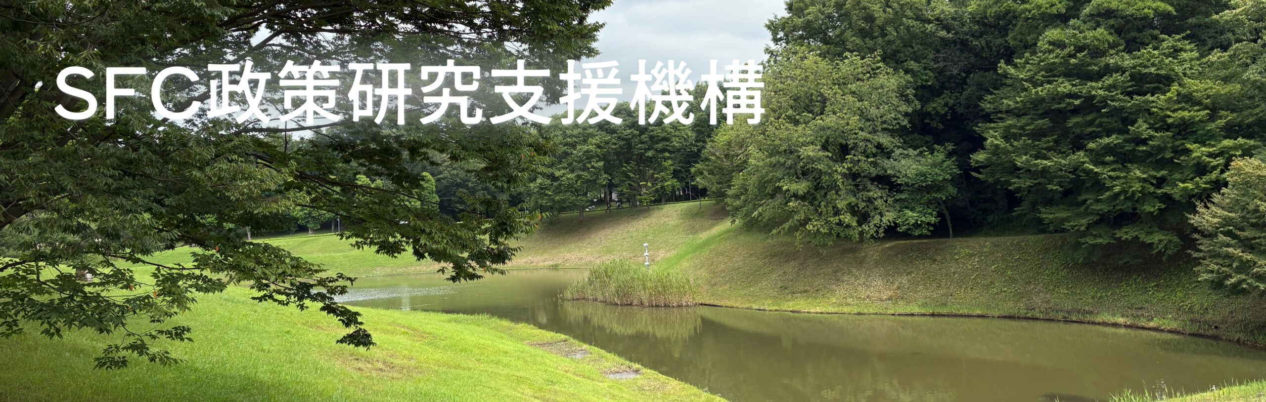SFC政策研究支援機構